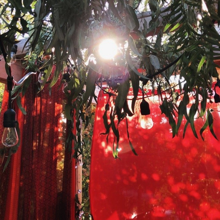 The red fabric walls and branch-covered roof of a sukkah with the Sun shining through at the end of the day.