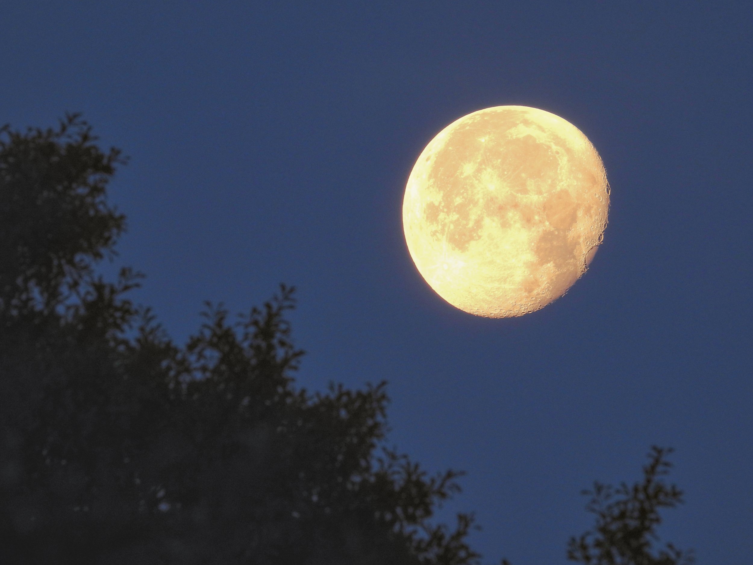 Moon Photo 3