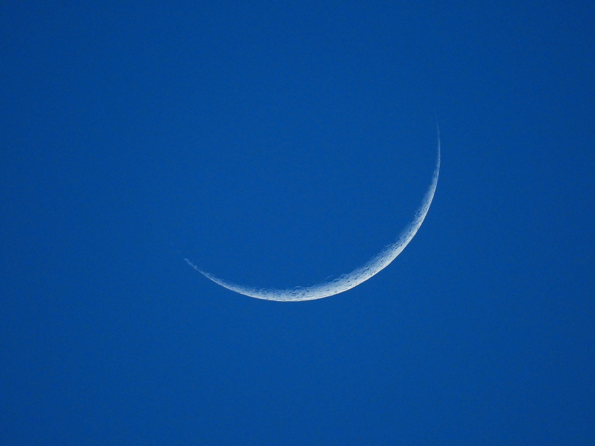 A new crescent Moon setting in the west in a still-light sky