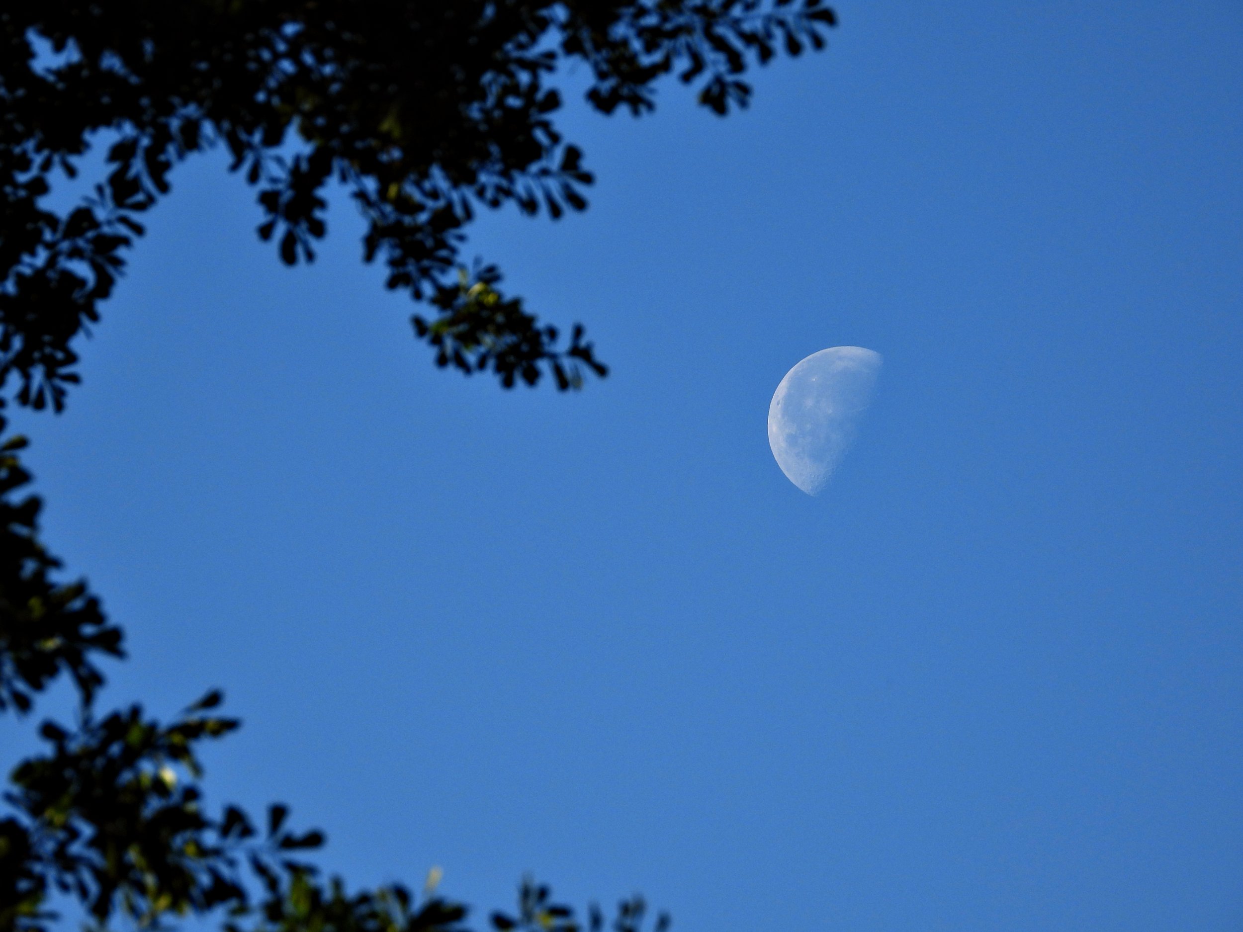 Moon Photo 1