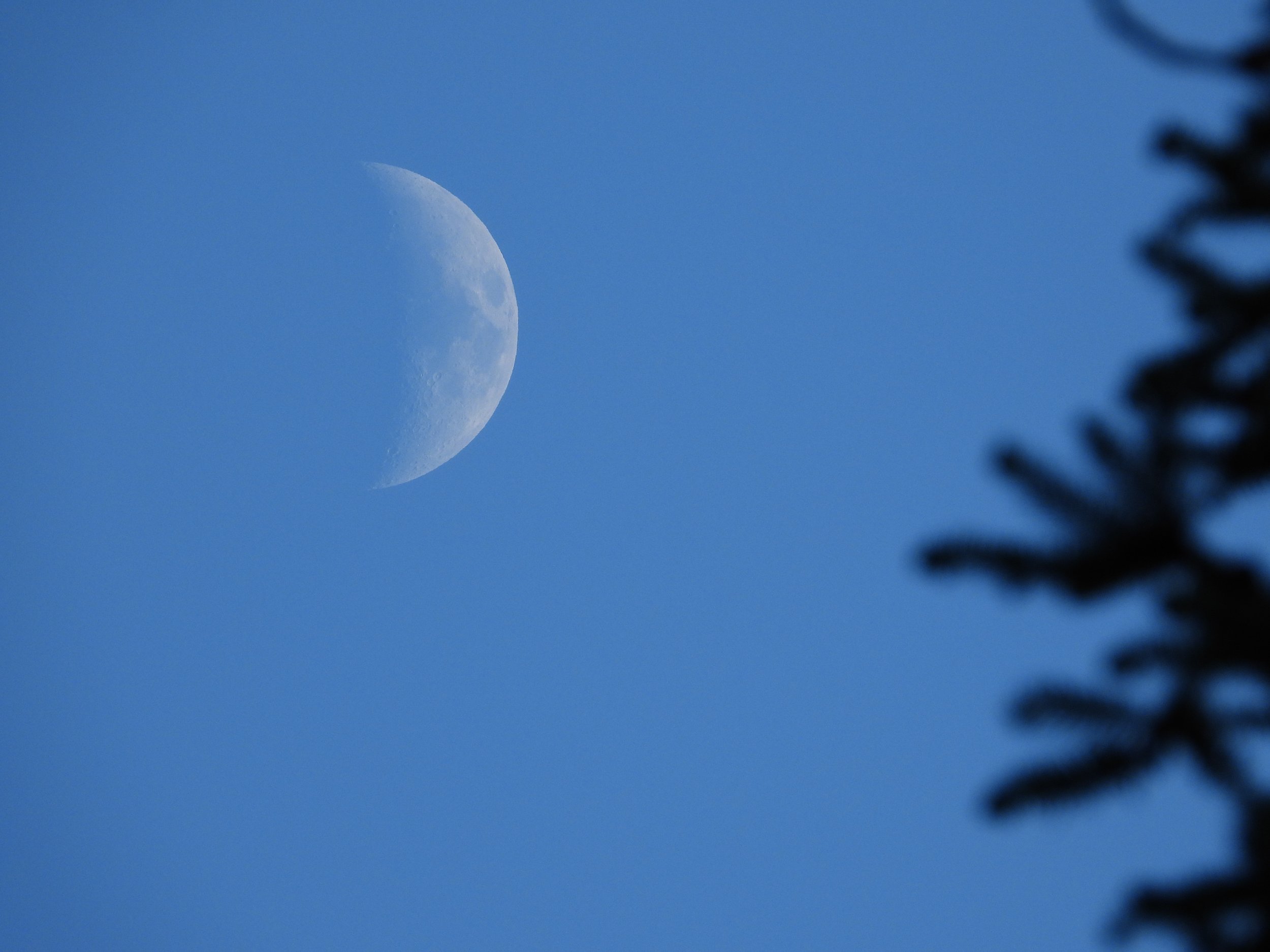 Moon Photo 8