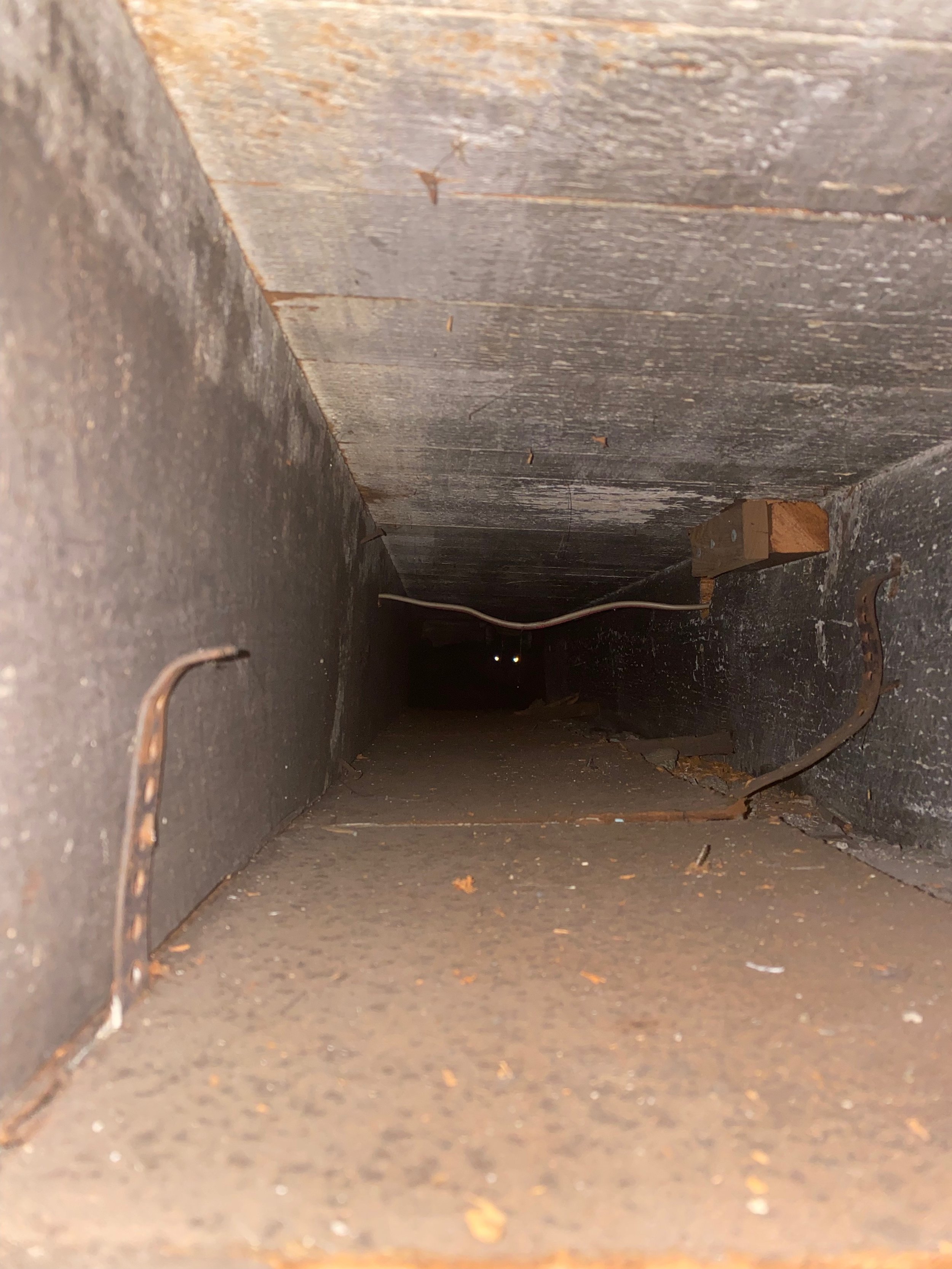 A metal crawlspace with the glowing eyes of a black cat visible at the end