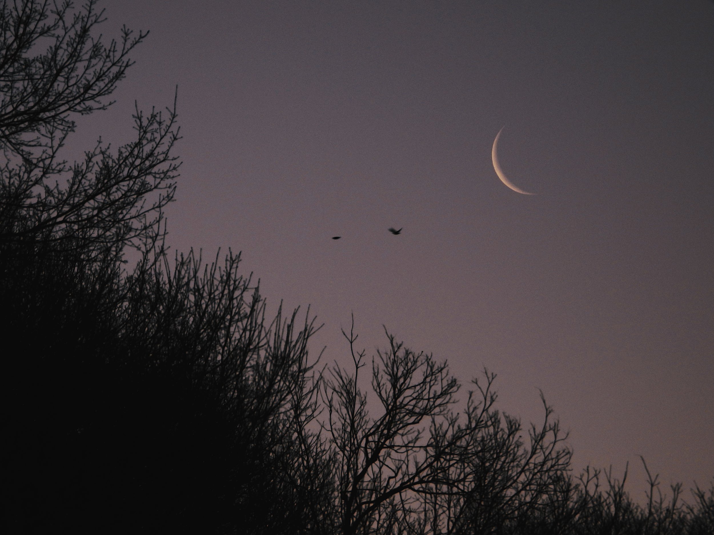 Moon Photo 12