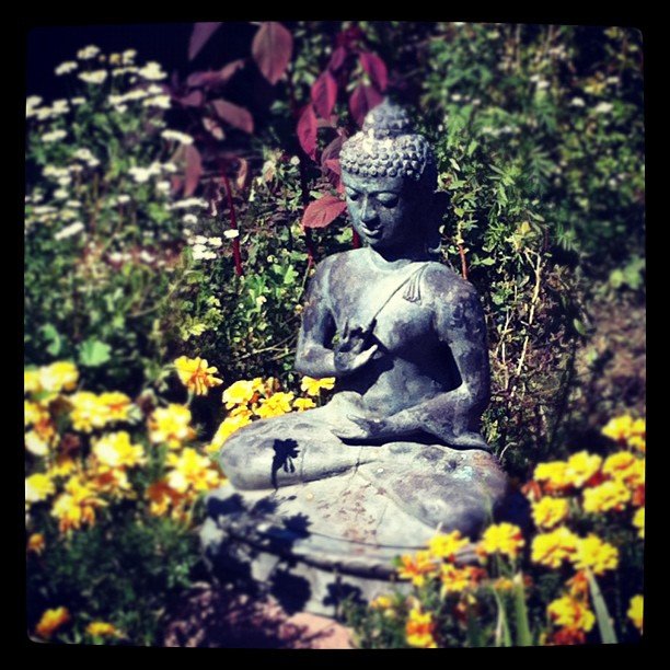 A heavily edge-blurred photo of an Therevada-style Buddha statue sitting in a garden overgrown with yellow flowers