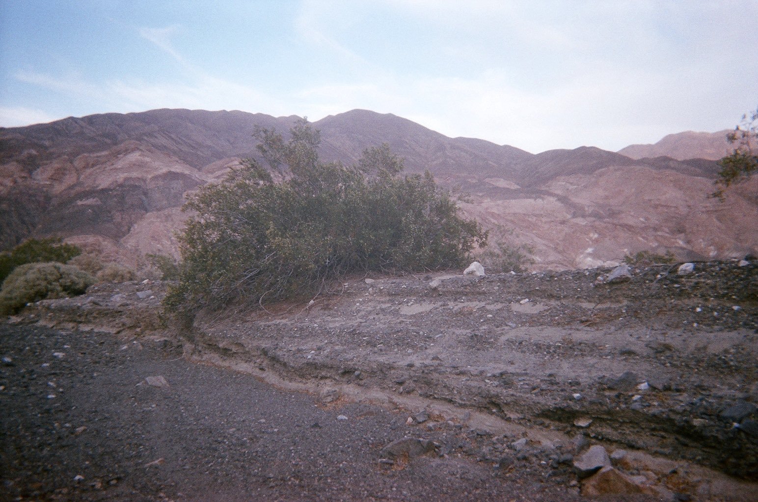 A scrubby desert location
