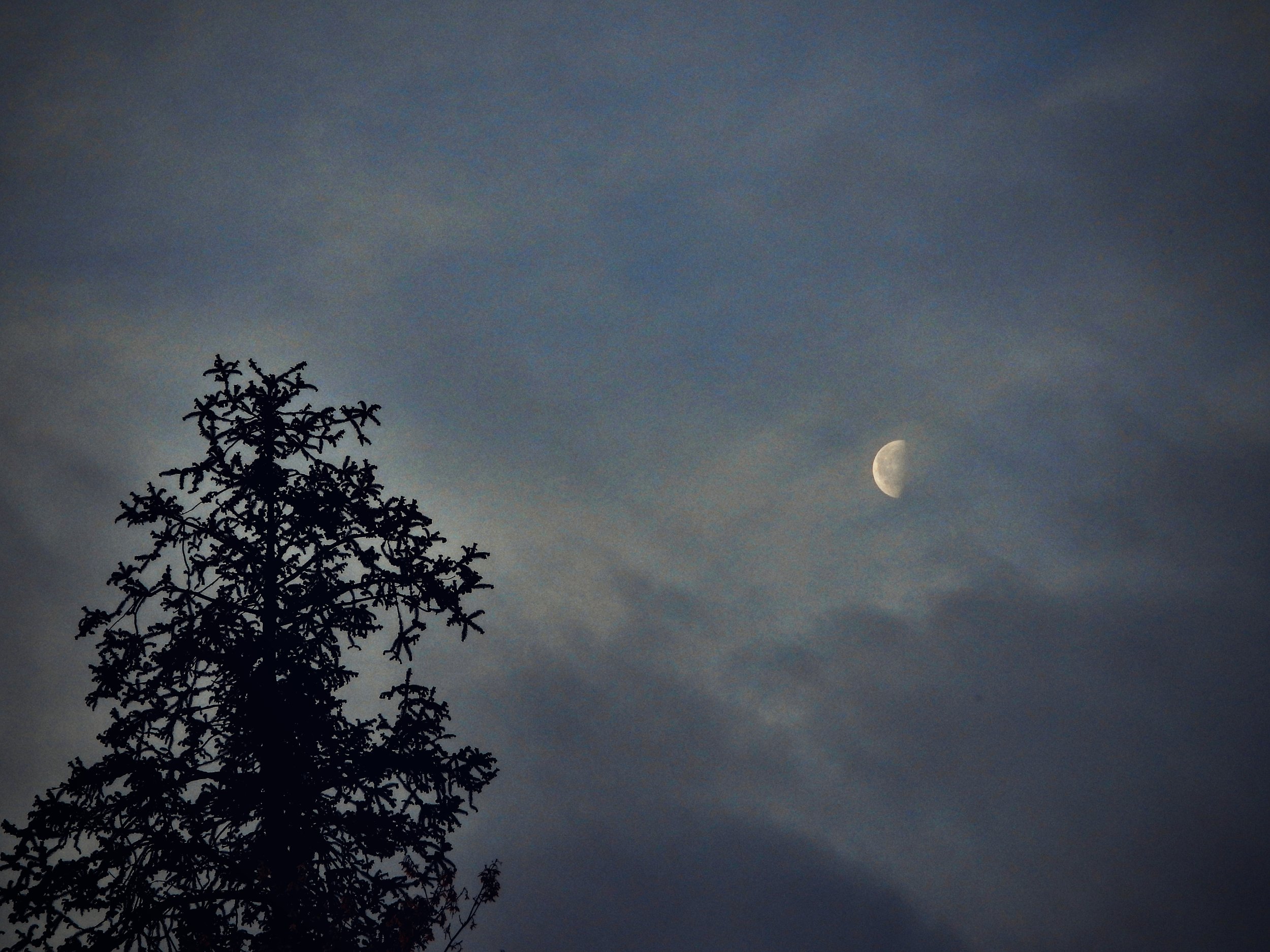 Moon Photo 14